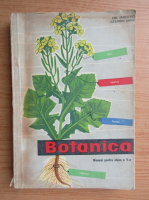 Emil Sanielevici - Botanica. Manual pentru clasa a V-a (1964)