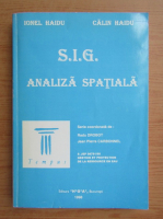 Ionel Haidu - S. I. G. Analiza spatiala