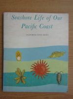 Seashore life of our Pacific Cost