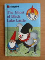 The ghost of black lake castle