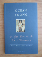 Ocean Vuong - Night sky with exit wounds