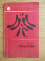 Petre Raicu - Cromozomii