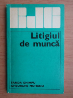 Sanda Ghimpu - Litigul de munca