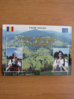 Valer Gligan - Valea Ariesului in imagini (album)
