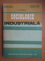 Al. Deniforescu - Sociologie industriala