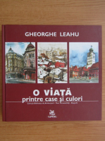 Gheorghe Leahu - O viata printre case si culori 