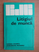 Sanda Ghimpu - Litigiul de munca 