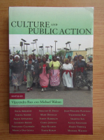 Culture and public action