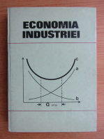Dinu Mares - Economia industriei