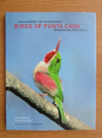 Discovering the remarkable birds of Punta Cana, Dominican Republic