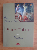 Ilarion Felea - Spre Tabor, volumul 1. Pregatirea