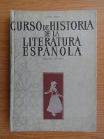 Palmira Arnaiz - Curso de historia de la literatura espanola