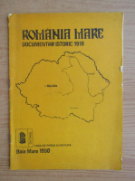 Romania Mare. Documentar istoric 1918