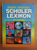 Schuler lexikon