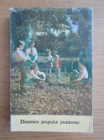 Dinamica grupului pionieresc