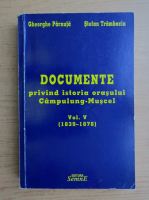 Gheorghe Parnuta - Documente privind istoria orasului Campulung-Muscel