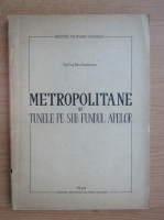 Petre Teodorescu - Metropolitane si tunele pe sub fundul apelor