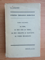 Synopsis theologiae dogmaticae (volumul 2)