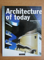 Andreas Papadakis - Architecture of today