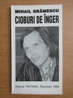 Anticariat: Mihail Gramescu - Cioburi de inger
