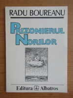 Radu Boureanu - Prizonierul norilor
