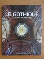 Sophie Cassagnes-Brouquet - Le gothique un art de France