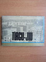 Targu-Jiu. Schita monografica