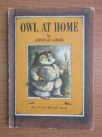 Arnold Lobel - Owl at home