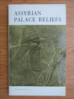 Assyrian palace releifs in the british museum