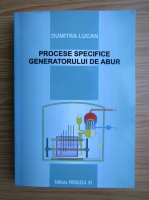 Dumitra Lucan - Procese specifice generatorului de abur