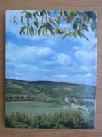 Hallo, Moldavia