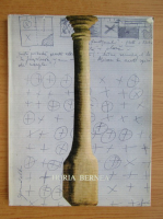 Horia Berna. Album de arta