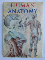 Anticariat: Human anatomy (format foarte mare)