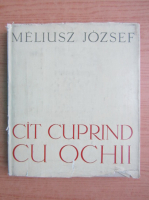 Meliusz Jozsef - Cat cuprind cu ochii