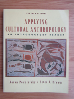 Aaron Podolefsky - Applying cultural anthropology