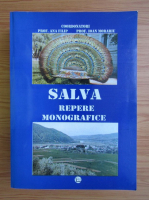 Ana Filip - Salva. Repere monografice