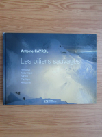 Antoine Cayrol - Les piliers sauvages. Himalaya, Antarctique, Sahara, Pacifique, Amazonie