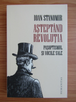 Ioan Standomir - Asteptand Revolutia
