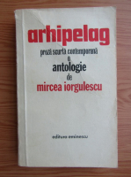 Anticariat: Mircea Iorgulescu - Arhipelag. Proza scurta contemporana