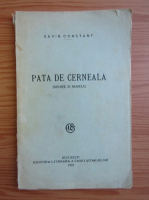 Anticariat: Savin Constant - Pata de cerneala (1928)