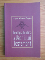 Athanase Negoita - Teologia biblica a Vechiului Testament