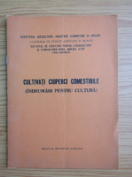 Cultivati ciuperci comestibile