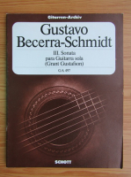 Gustavo Becerra-Schmidt