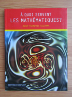 Jean-Francois Colonna - A quoi servent les mathematiques?