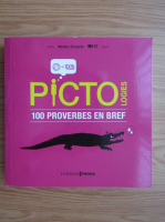 Matteo Civaschi - Pictologies. 100 proverbes en bref