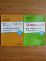 Costel Chites - Matematica. Teme suplimentare pentru clasa a V-a. Semestrul 1 si 2 (2012)