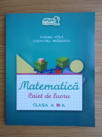 Tudor Pitila - Matematica, caiet de lucru pentru clasa a III-a (2015)