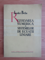 Junko Bela - Rezolvarea numerica a sistemelor de ecuatii liniare