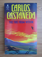 Carlos Castaneda - The fire from within