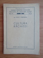 Constantin Damaceanu - Cultura Rachitei